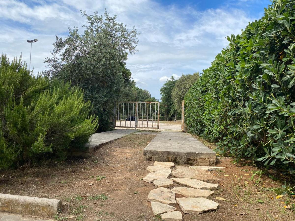 Apartment Soline Biograd Na Moru Dış mekan fotoğraf